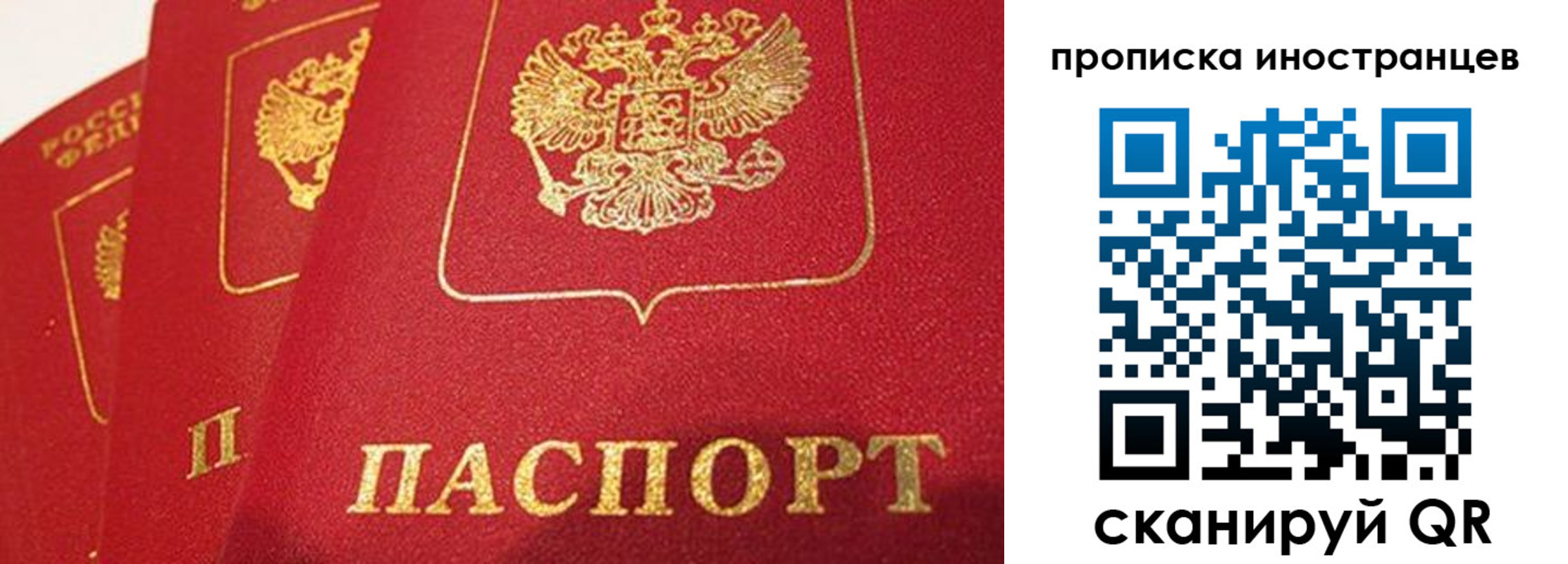 прописка поиск в Батайске